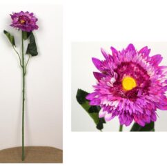 Pika varrega kunstlill aster lillat värvi.