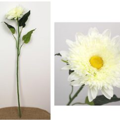 Pika varrega kunstlill aster valget värvi.
